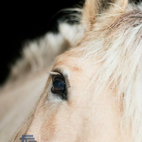 Marjolein - Fotografe